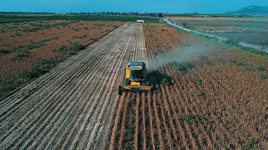 Tarım ÜFE'de Yeni Rekor! Yıllık Artış Yüzde 156