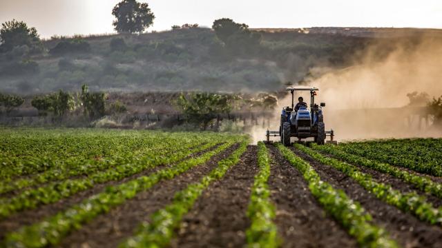 1,4 Milyar Liralık Tarımsal Destekleme Ödemeleri Başlıyor