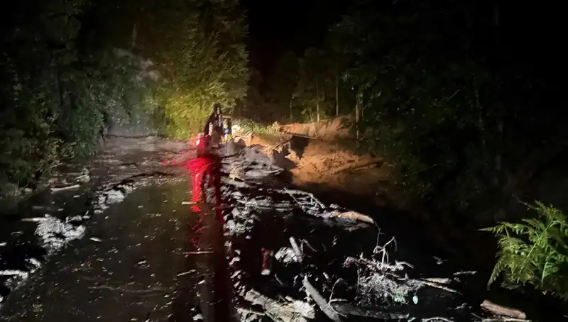 Rize'yi Vuran Şiddetli Yağışın Sonuçları: Sel ve Heyelanlar