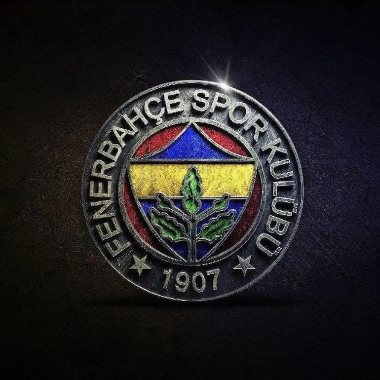 Fenerbahçe Rekor Sermaye Tavanı Artırımını Tamamladı! Tam 250 Milyon TL!