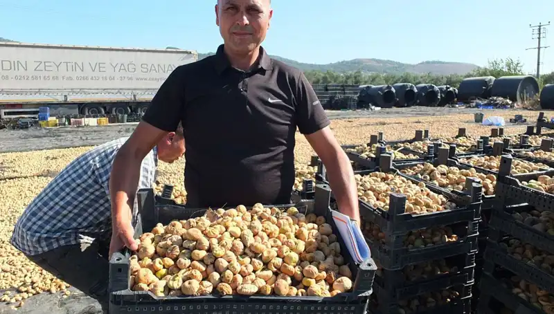 Balıkesir'de Tarım Sezonu Açıldı: Çin ve Rusya'ya İhracat Yolda