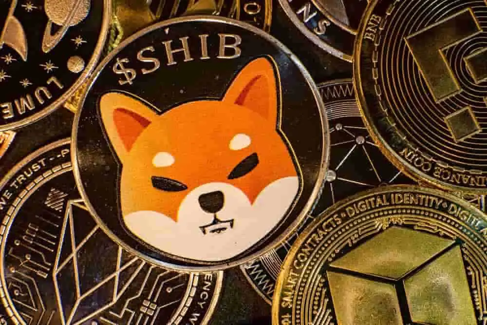 Crypto.com'un Portföyünde Ne Kadar Shiba Inu Var?