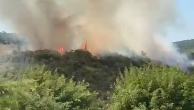 İstanbul’da Orman Yangını: Vatandaşların Tahliye Süreci ve Güncel Durum