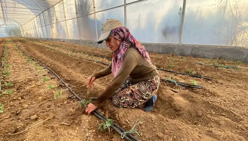 Fideler Toprakla Buluştu: Çiftçiler 6 Saat Aralıksız Çalışıyor!