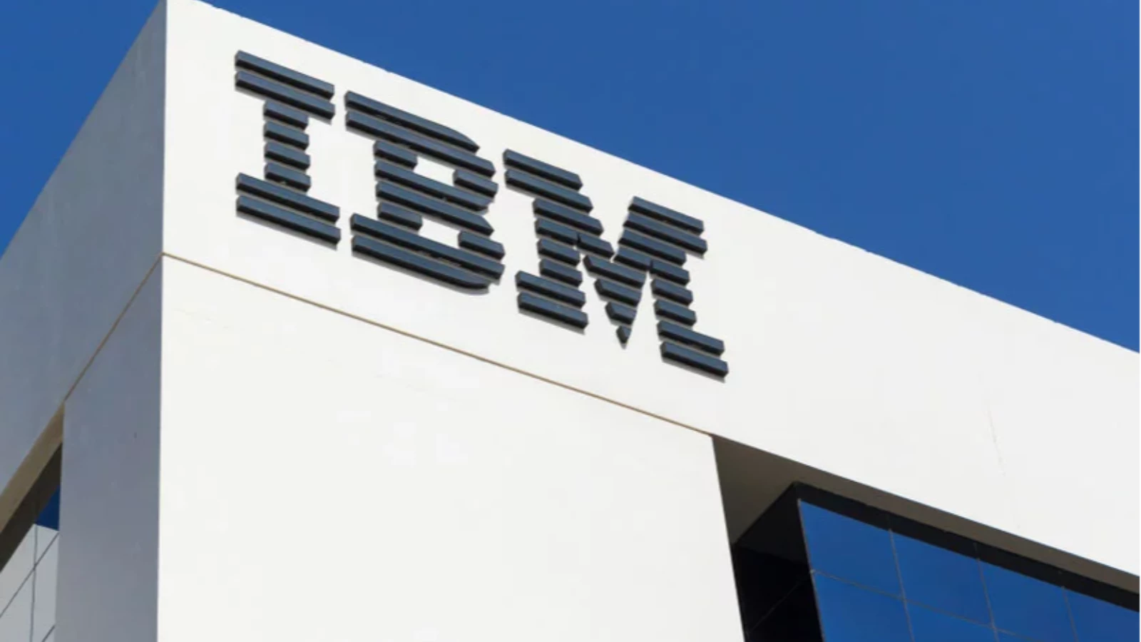 IBM, Envizi'yi Satın Aldı