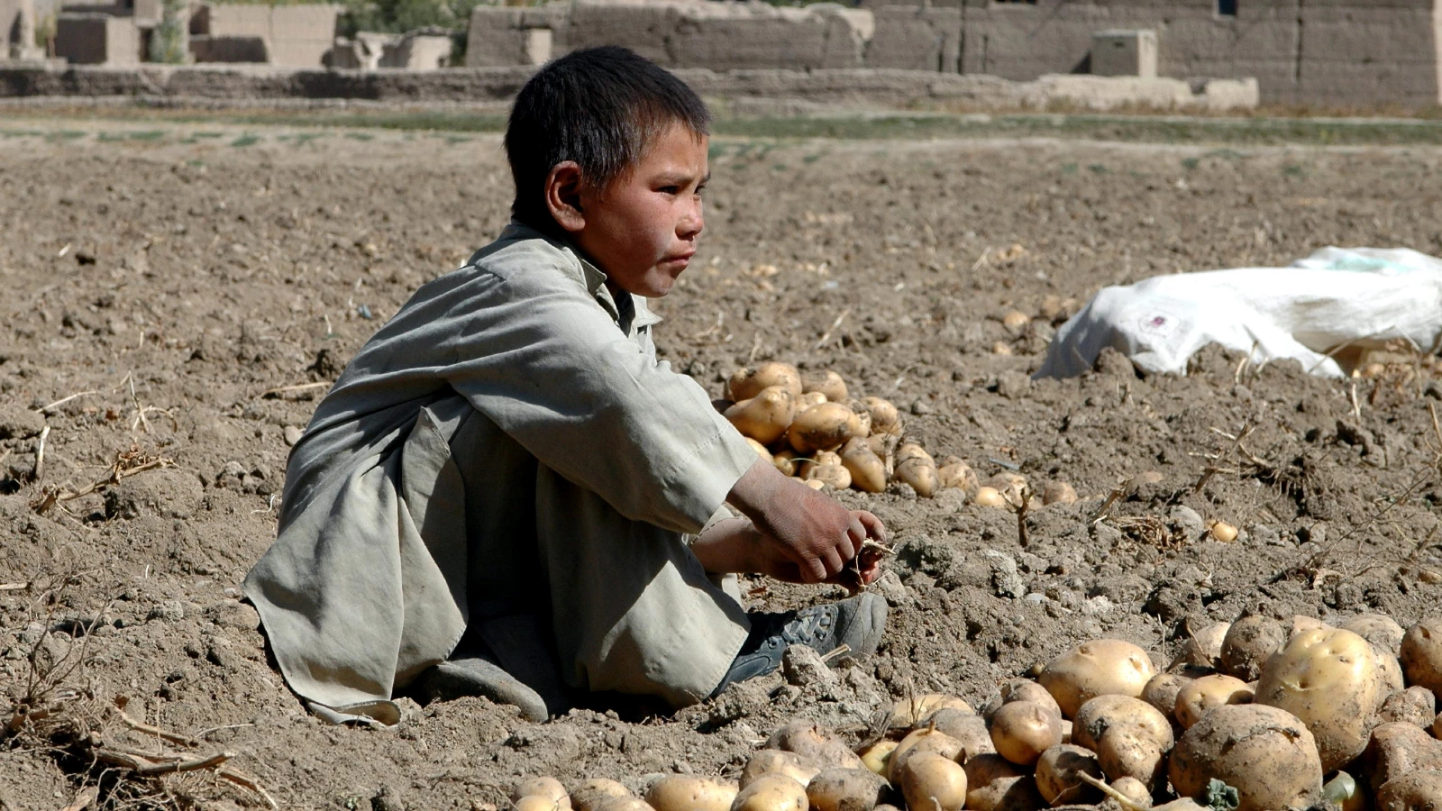 ABD Afganistan’a insani yardım için bankalara onay verdi