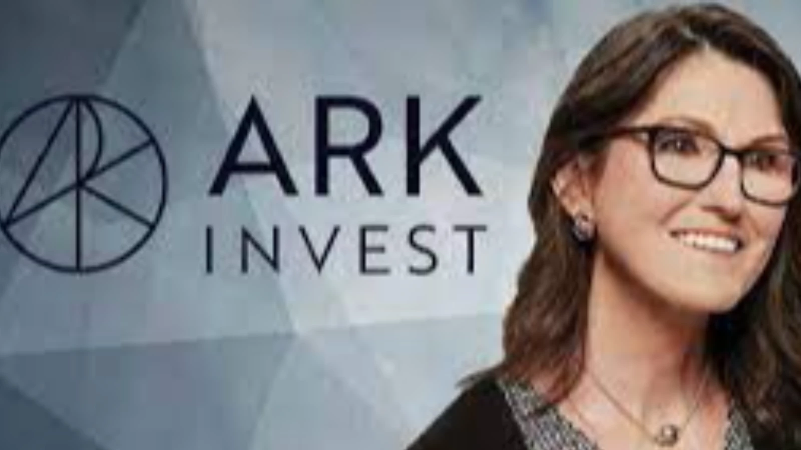 Ark Invest Ceosu, teknoloji hisselerinin ucuz olduğunu düşünüyor