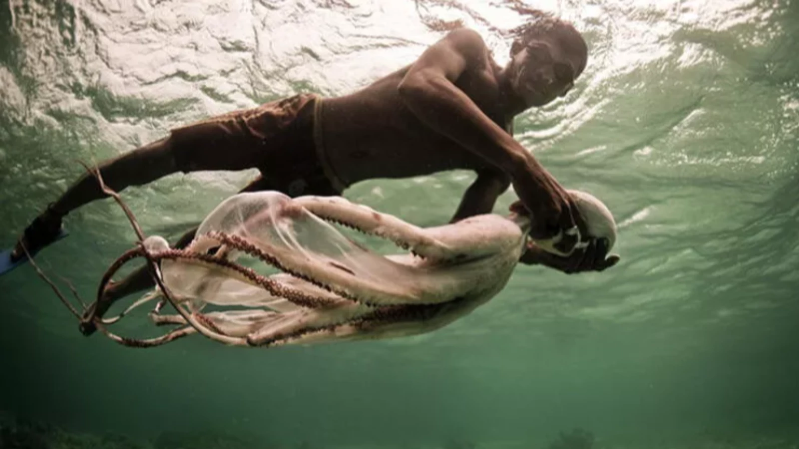 Bajau Kabilesi Şaşırtan Özellikleri ile Bilim İnsanlarının Dİkkatini Çekiyor