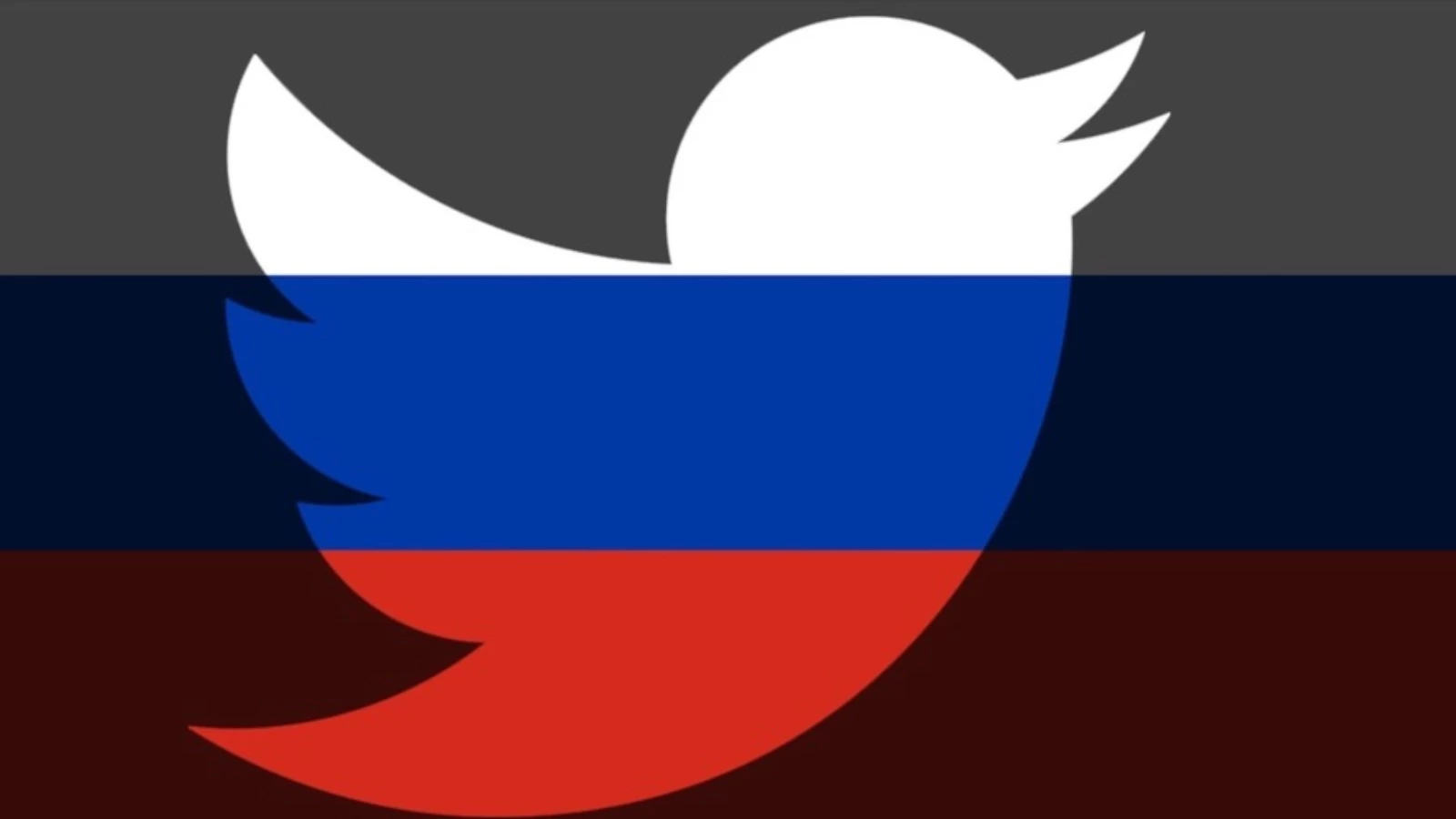 Twitter Rus hesaplarını kısıtladı