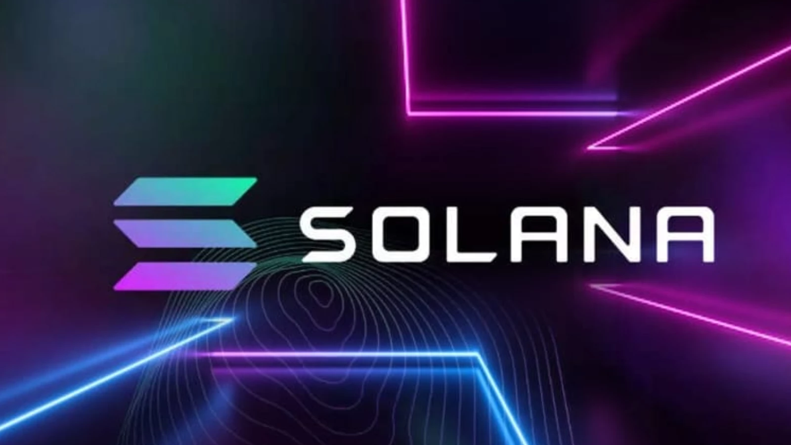 Solana NFT Marketplace, Solsea Hakkında Bilinmesi Gereken Her Şey