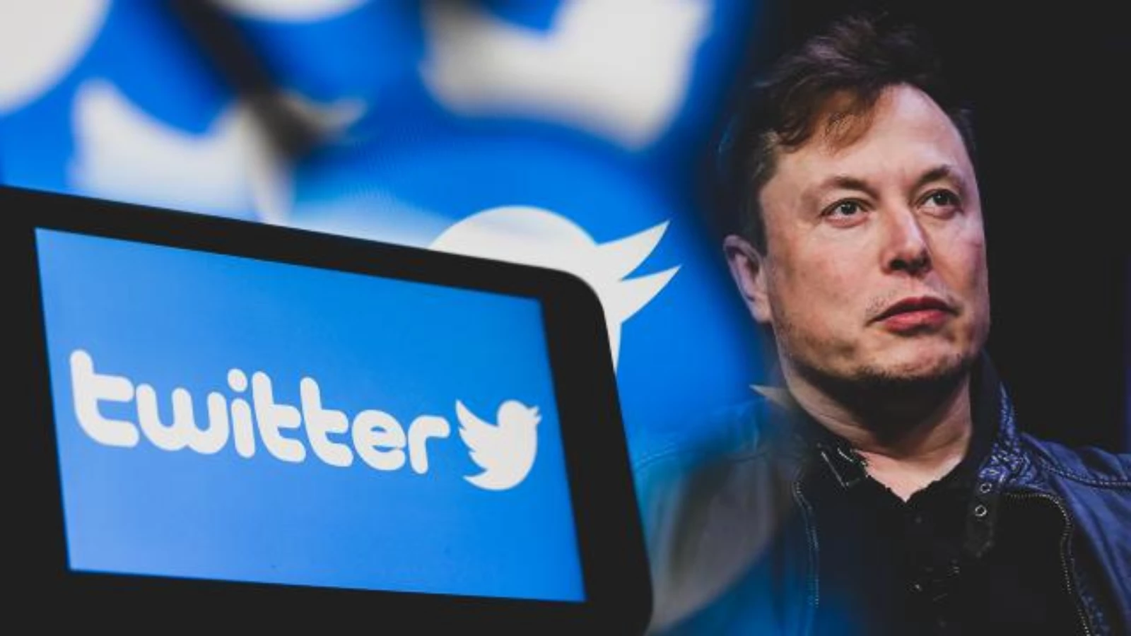 Twitter'dan, Elon Musk hamlesi