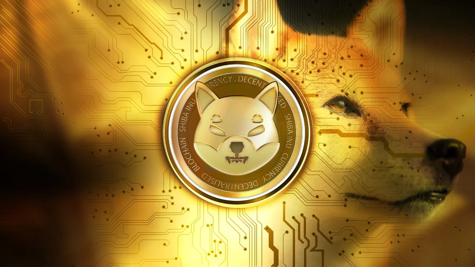 Shiba Inu vs Cardano: Hangi Yatırım Daha İyi?