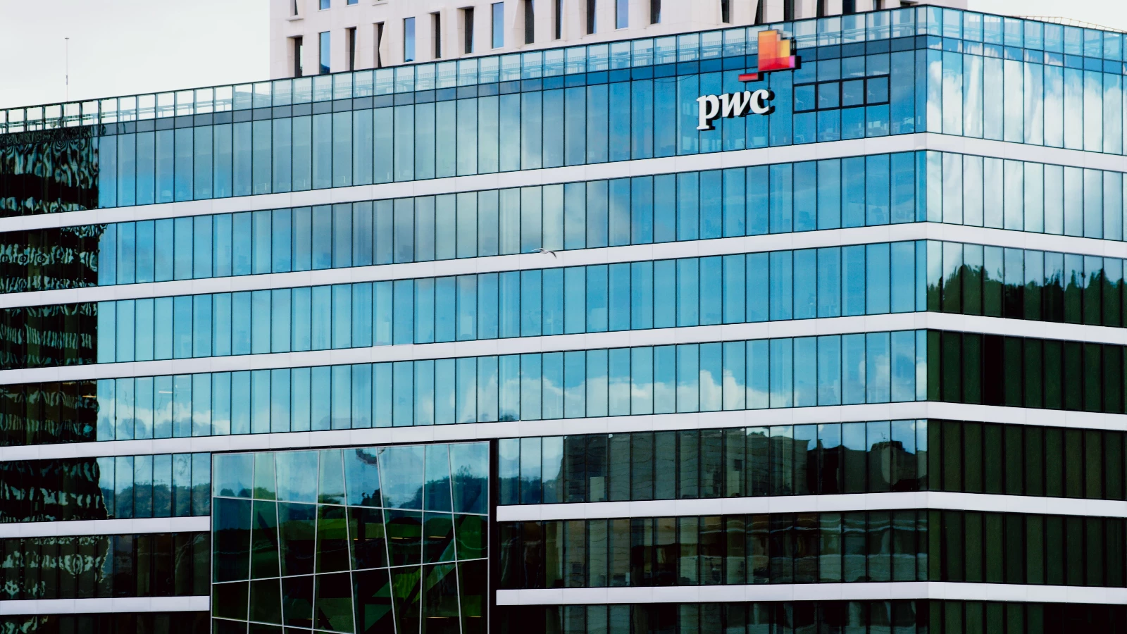 PwC, Küresel Dijital Satınalma analizi