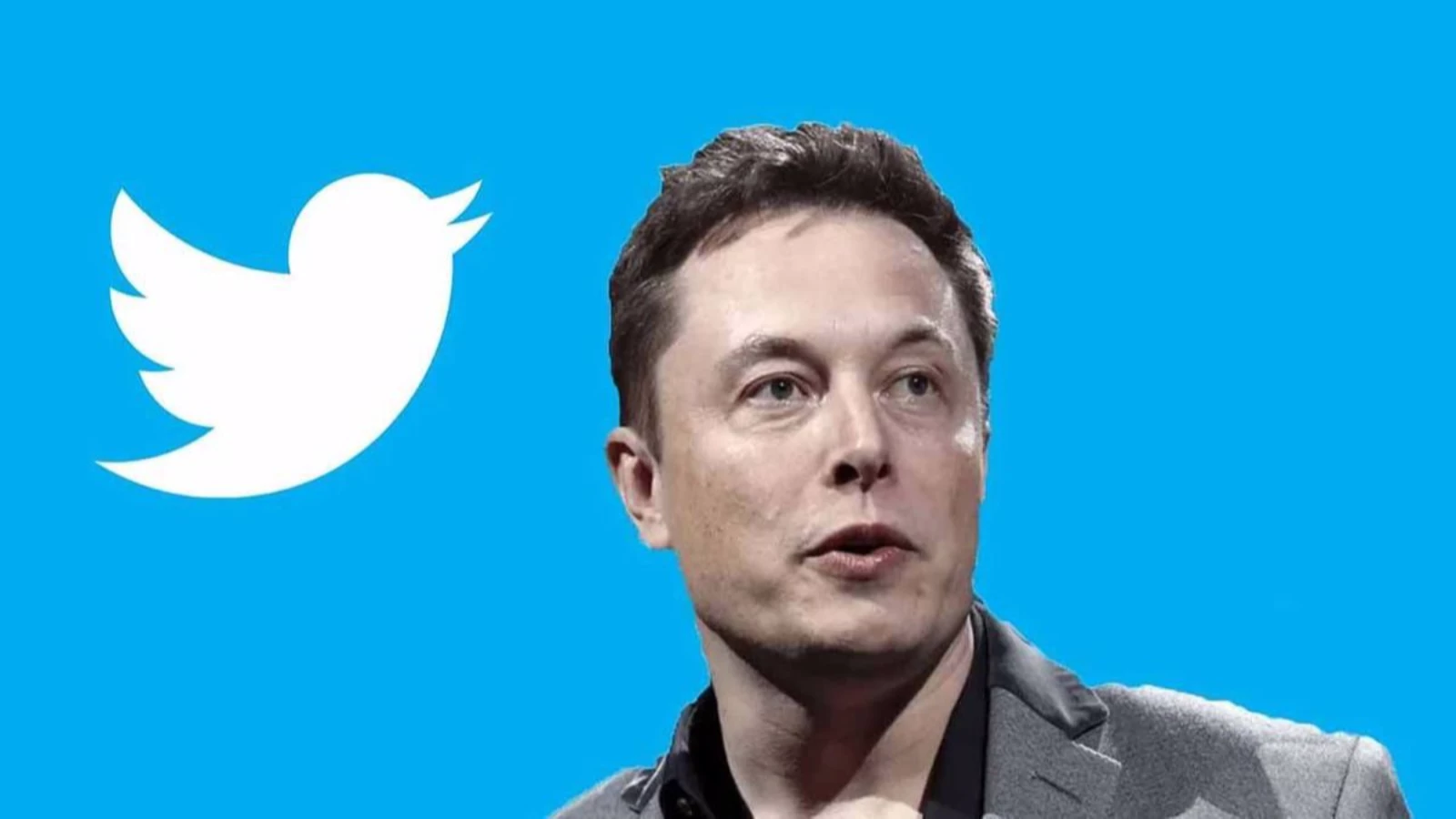 Elon Musk'ın Twitter Hamlesi