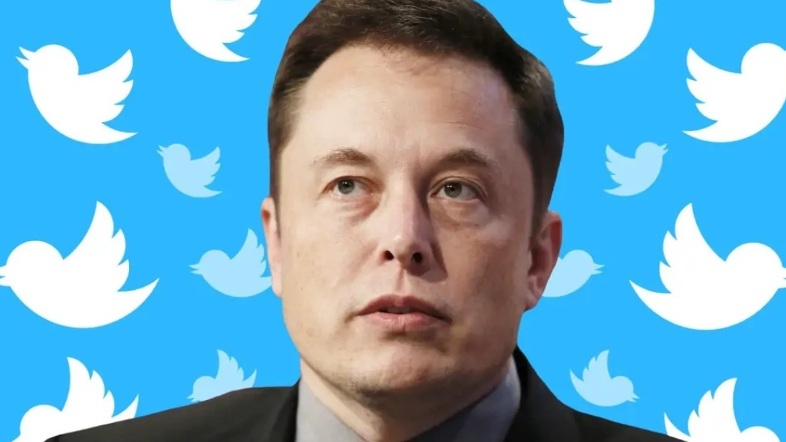 Musk Twitter’ı Devletler ve Şirketler İçin Ücretli Yapabilir