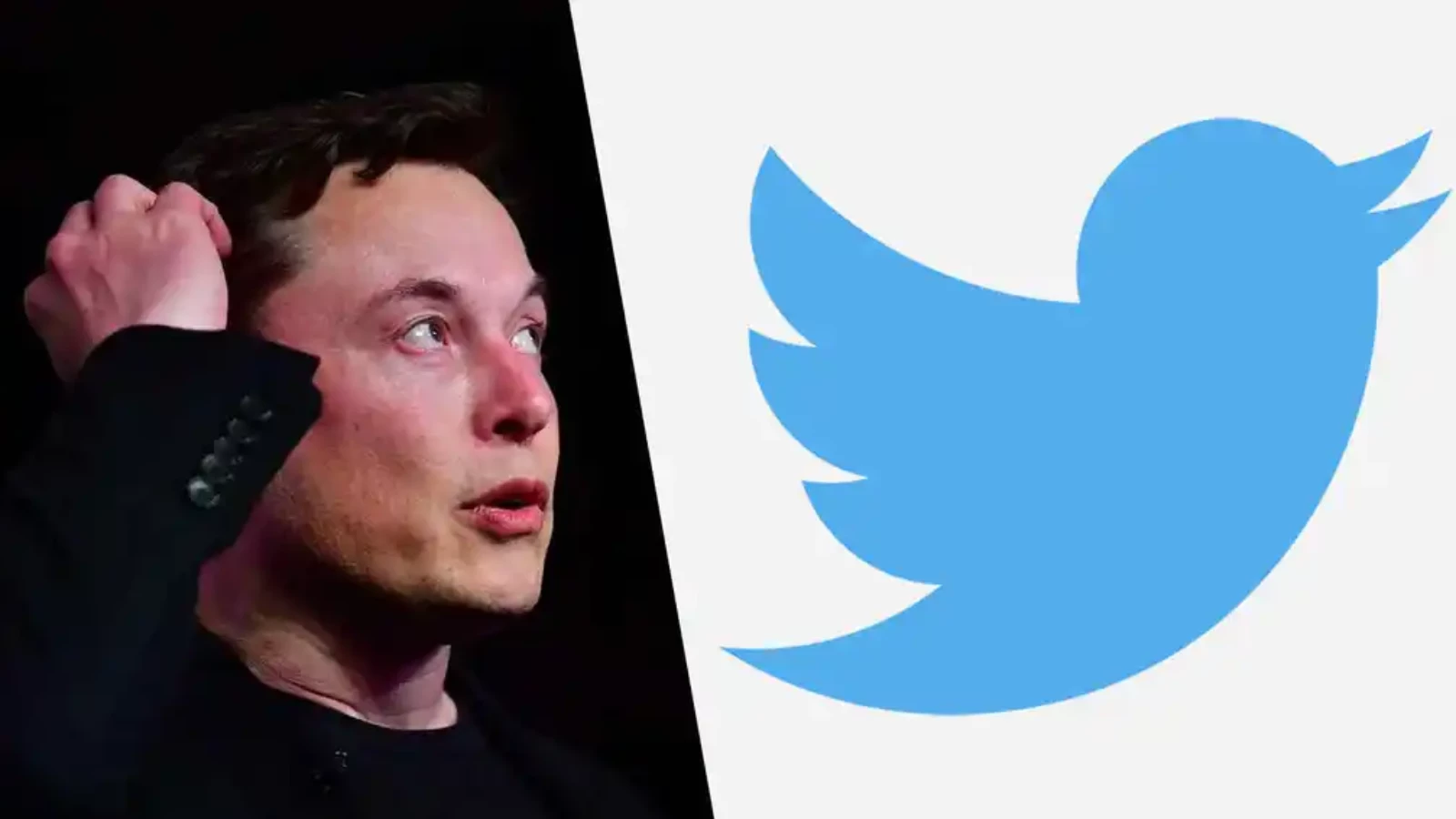 Elon Musk, Twitter'ı almaktan vazgeçebilir!