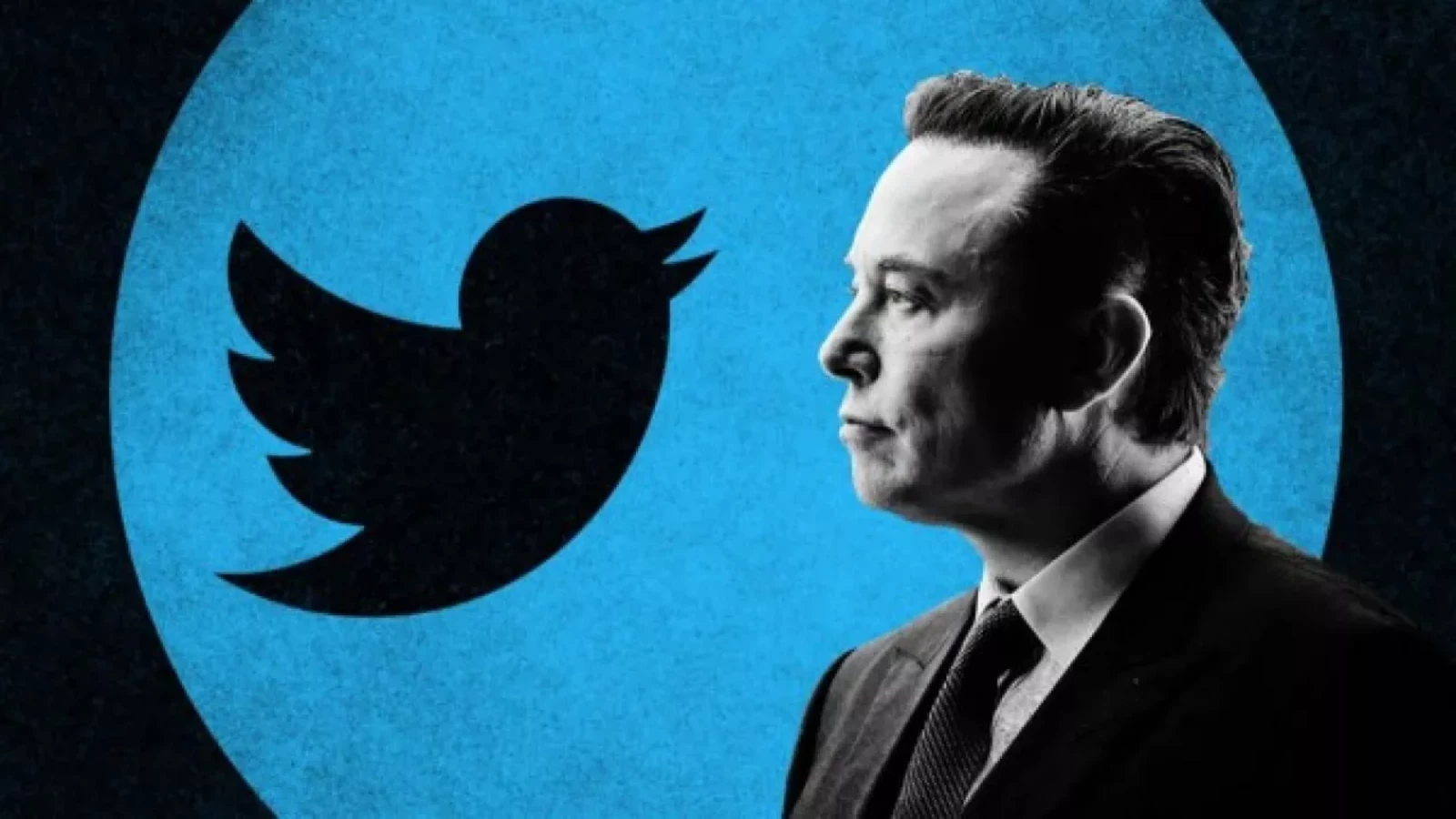 Elon Musk Açıkladı: Twitter Satışı Askıya Alındı!