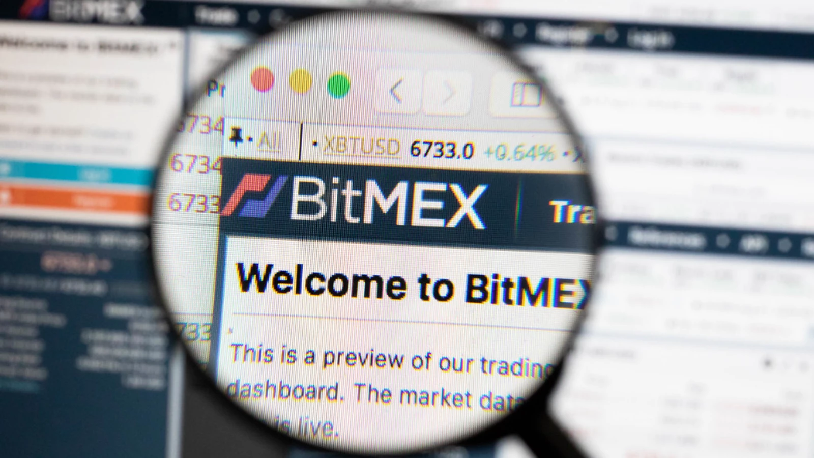 BitMEX'in kurucu ortağı hapishaneden kurtuldu