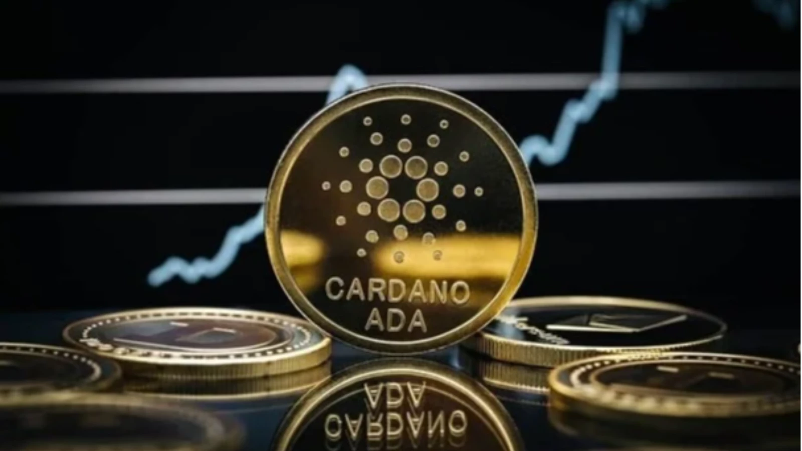 Yatırımcılar Cardano ve Polkadot'a güveniyor