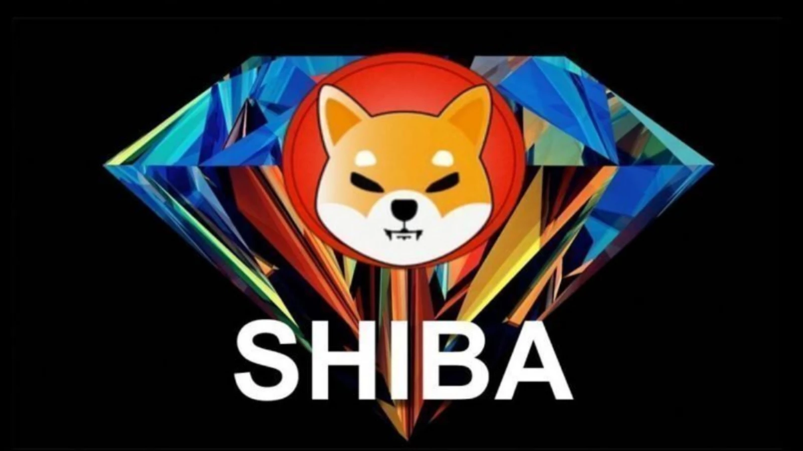 Shiba Inu 2,4 milyar jeton yaktı