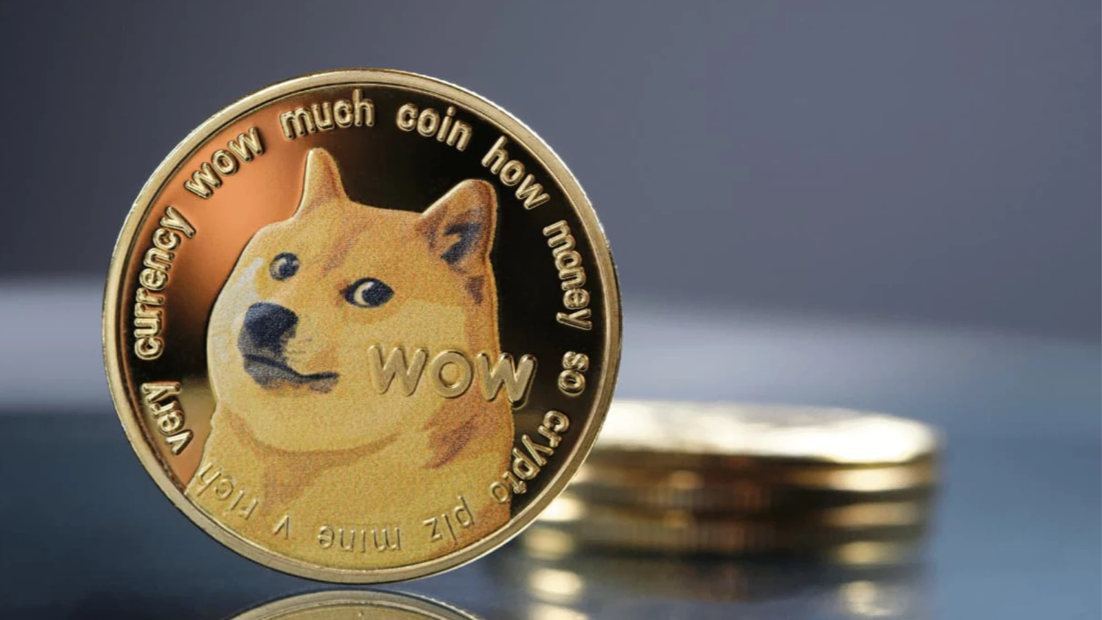 Dogecoin'i yasal bir ihale haline getirme planlanıyor