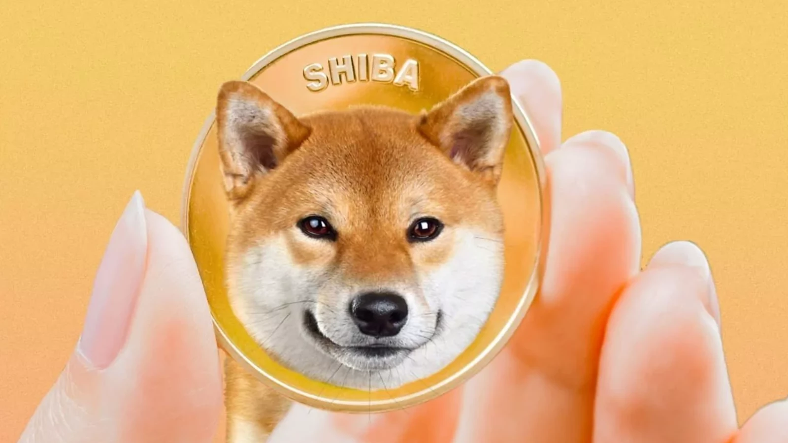 Shiba Inu yakma, arzı düzenli olarak yok etmeye devam ediyor.