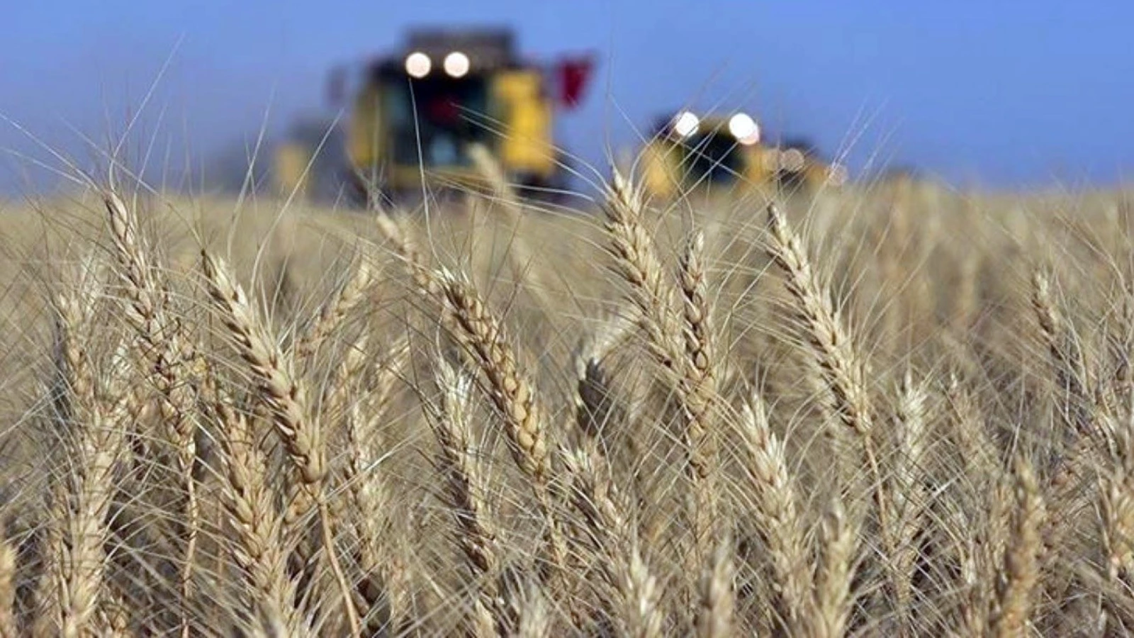 FAO'dan gıda piyasalarında daralma beklentisi