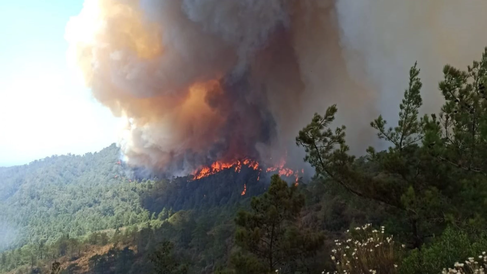 Marmaris'teki Orman Yangınında Son Durum