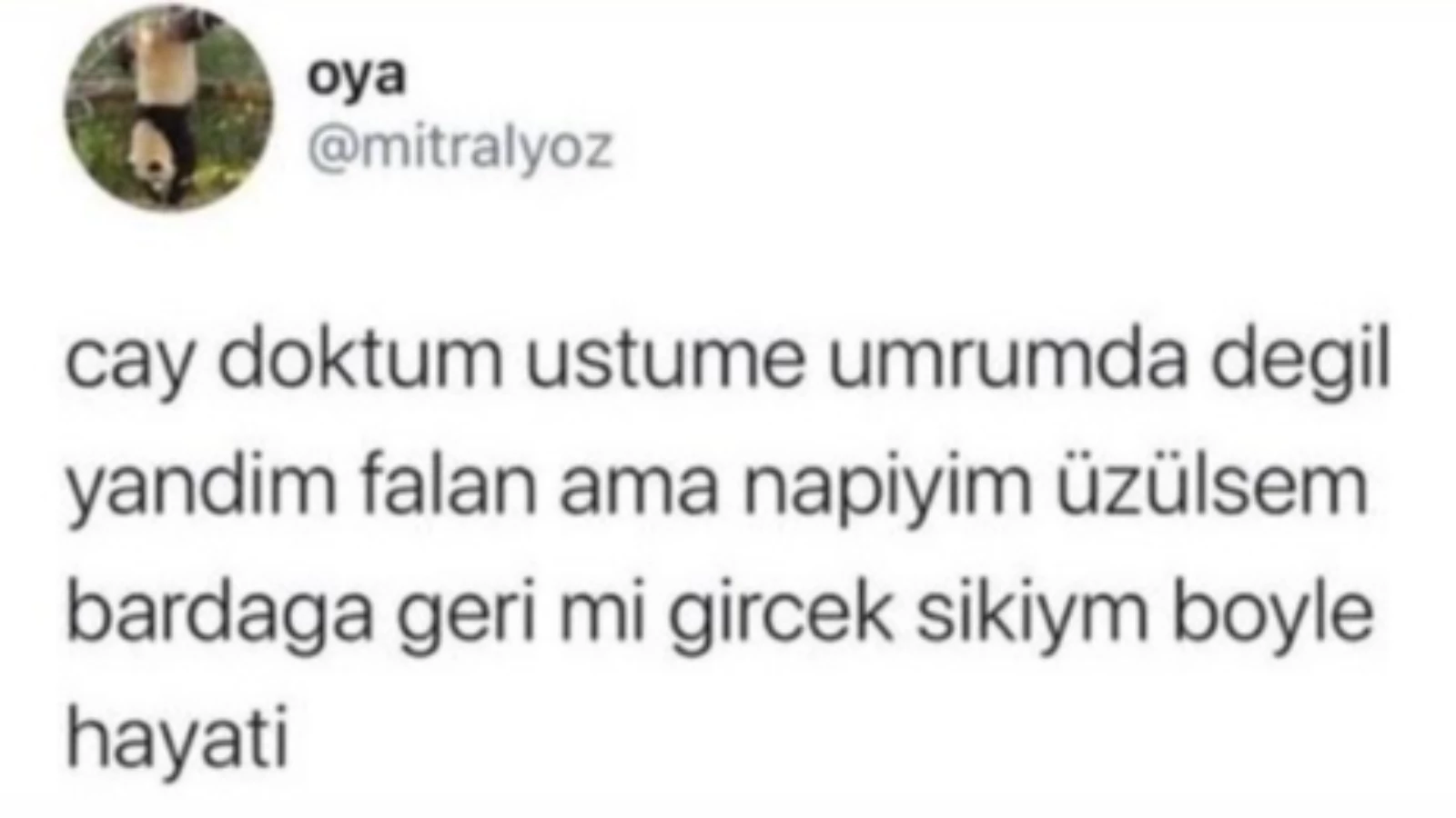 Her Ne Yapıyorsanız Bırakıp Bakmanız Gereken En Eğlenceli Tweetler