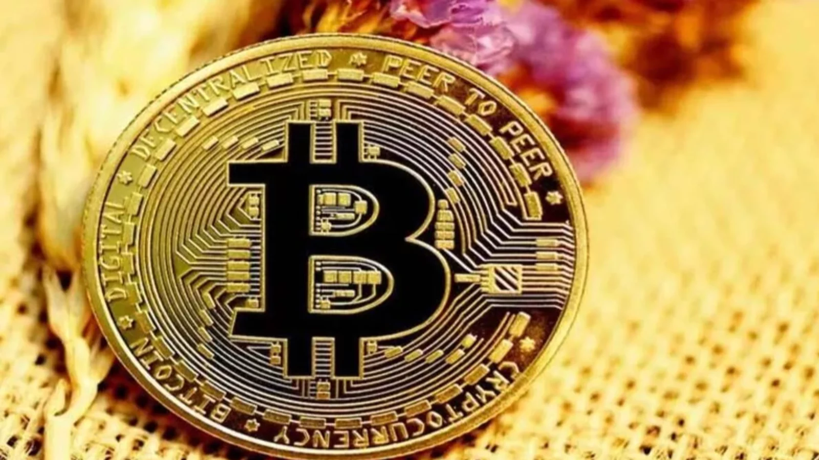 ''Bitcoin'in 13.000 Dolara Düşeceğine İnanmıyorum''