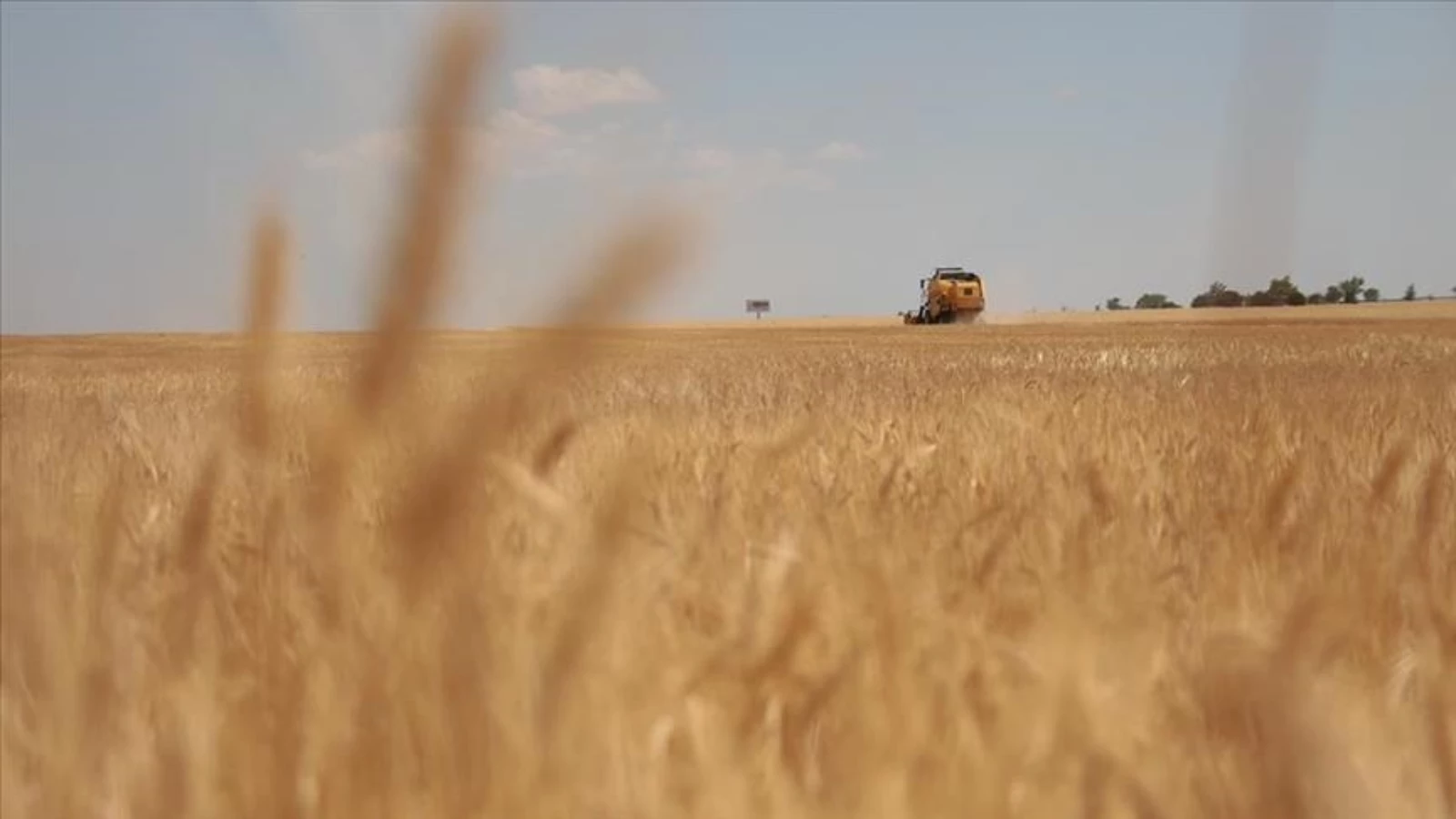 Trakya'da Çiftçiler Hasadı Bitirmeye Yakın