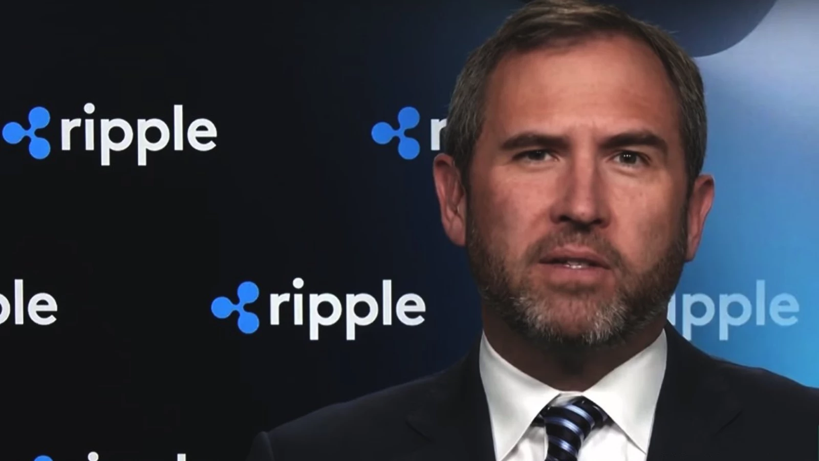 Ripple Ceo' su, SEC Hakkında Konuştu