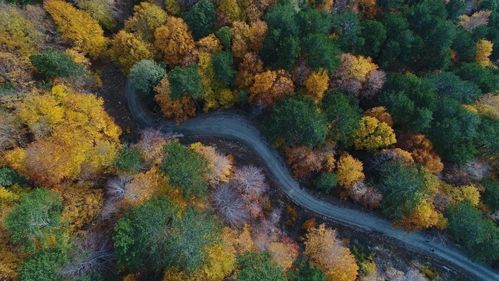 Kazdağları'na Zarar Verenlere Rekor Ceza