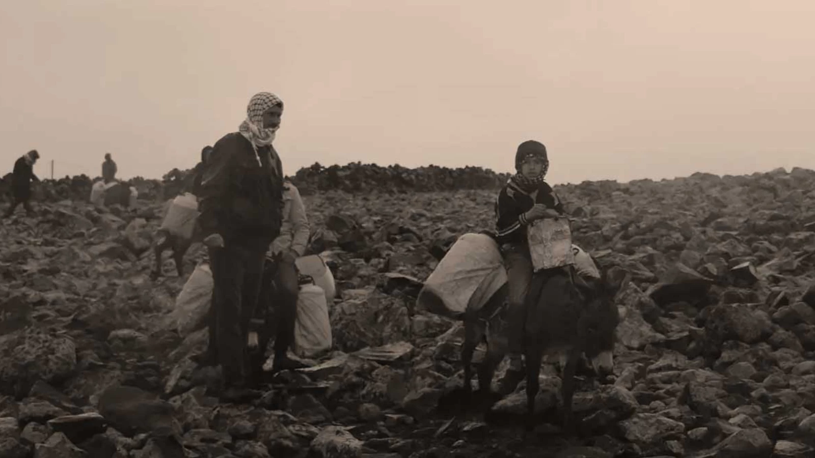 Amerikalı Mühendis Ve Eşek Hikayesi