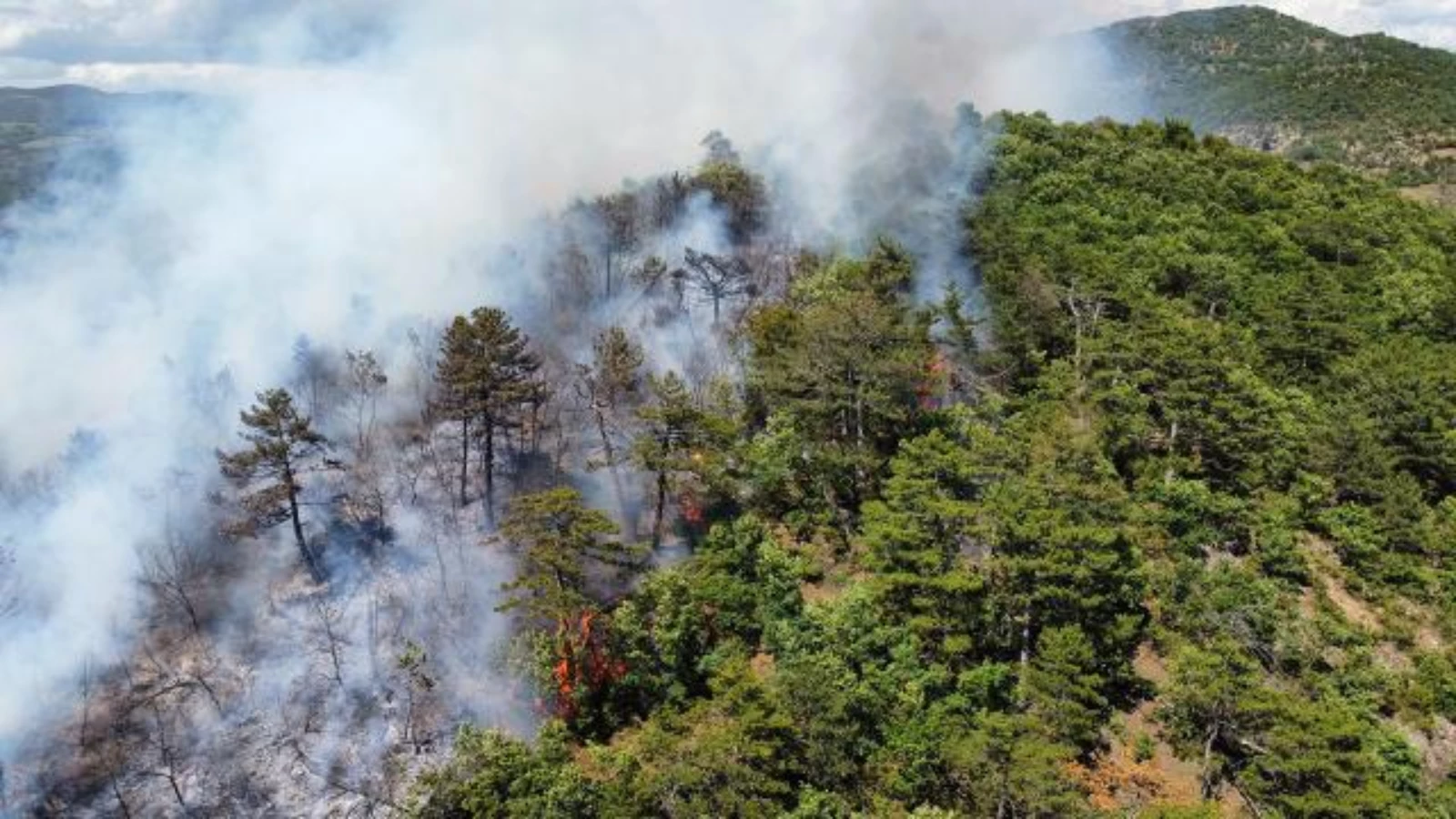 Balıkesir'de Orman Yangını