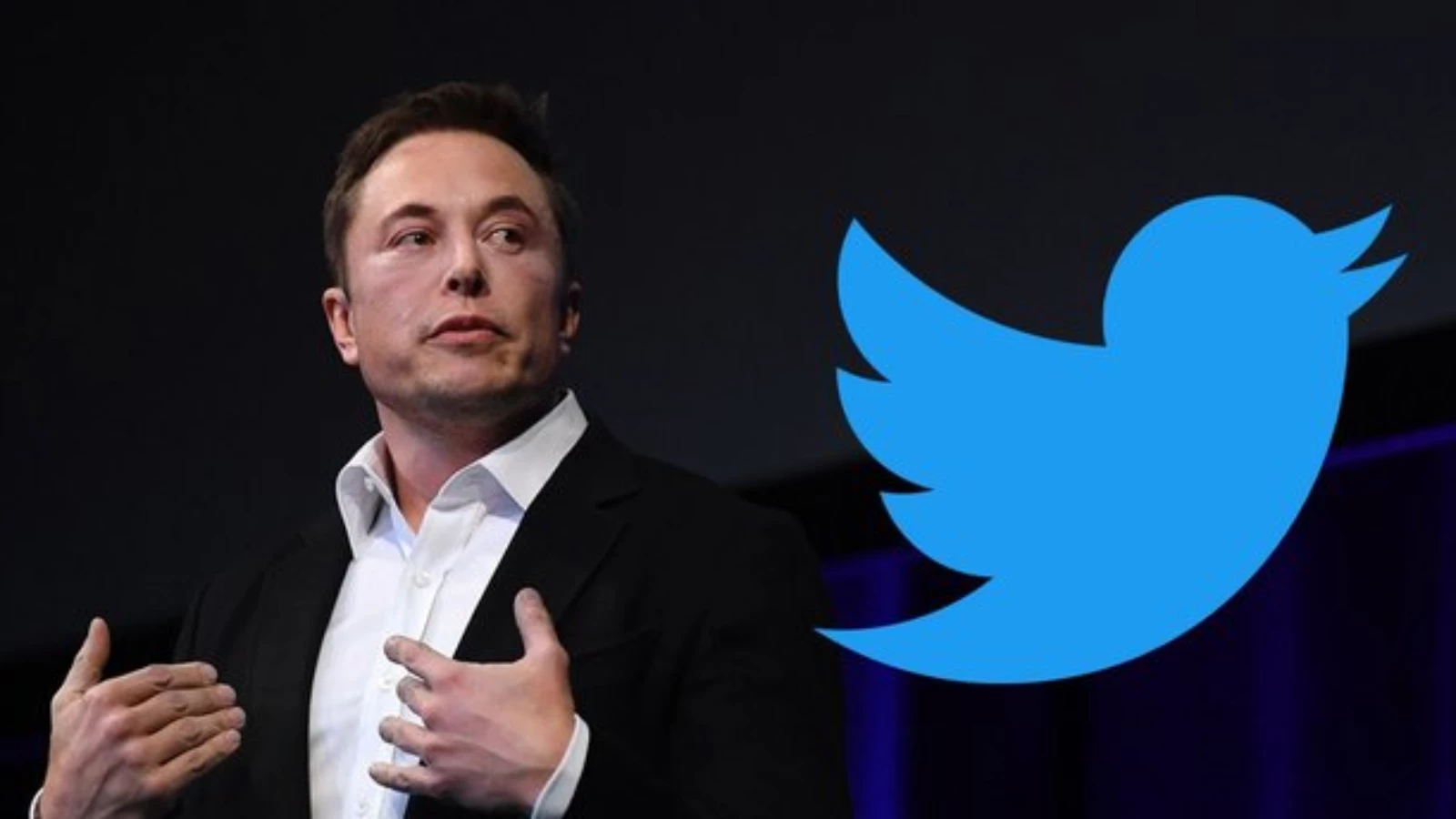 Elon Musk Yine Hisse Sattı! Twitter'ı Alma Hazırlığı Mı?