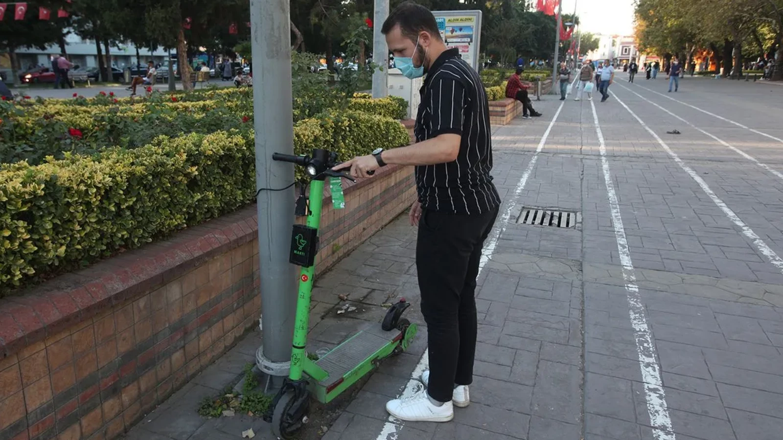 Martı'dan Kötü Haber Geldi! Soruşturma Başlatıldı