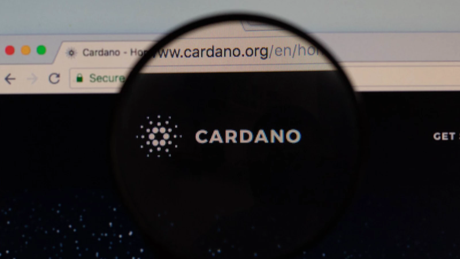 Cardano'dan Yeni İşbirliği!