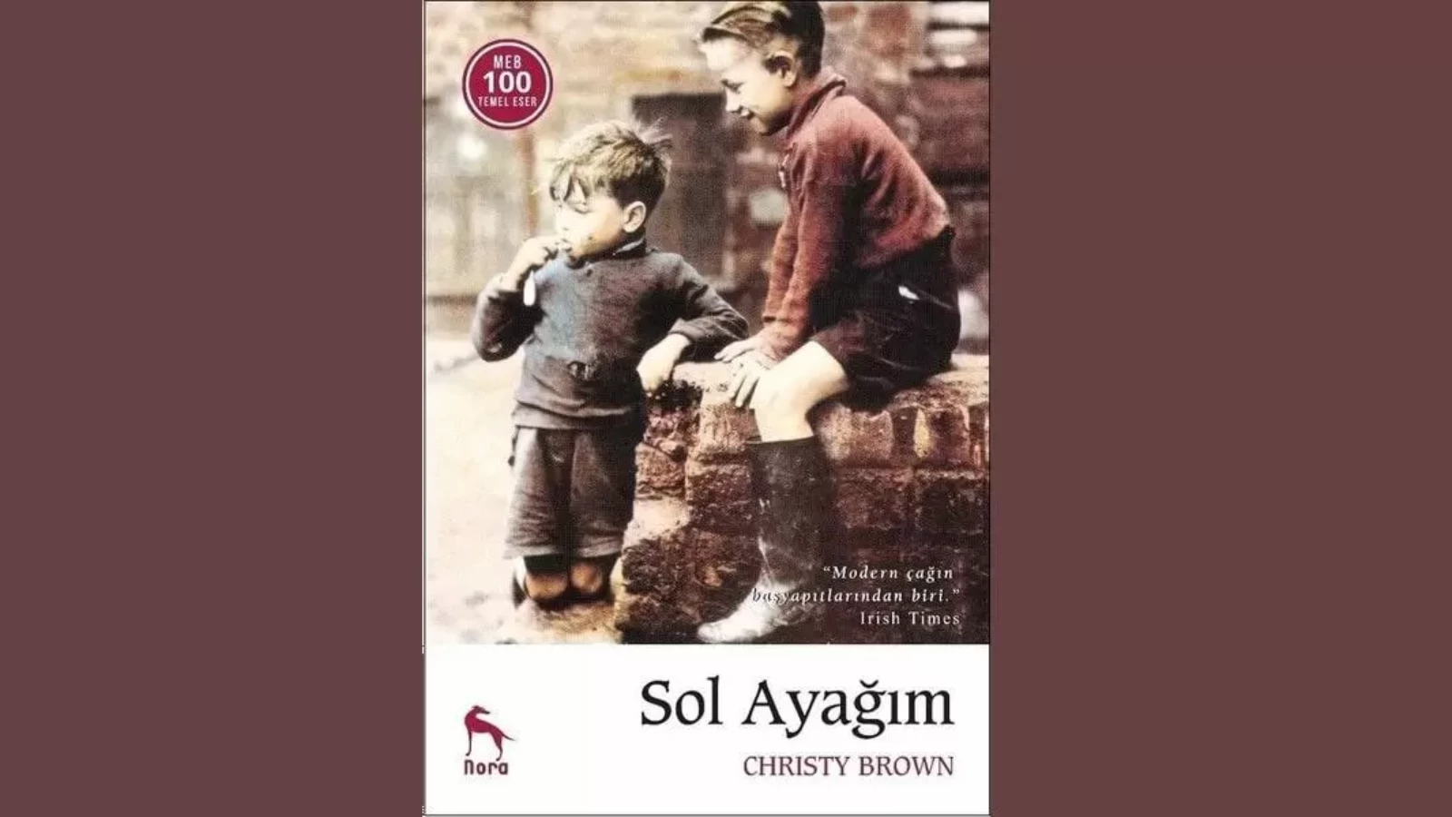 Herkese İlham Olan Christy Brown’ın ‘’Sol Ayağım’’ Eserin’den 15 Muhteşem Alıntı