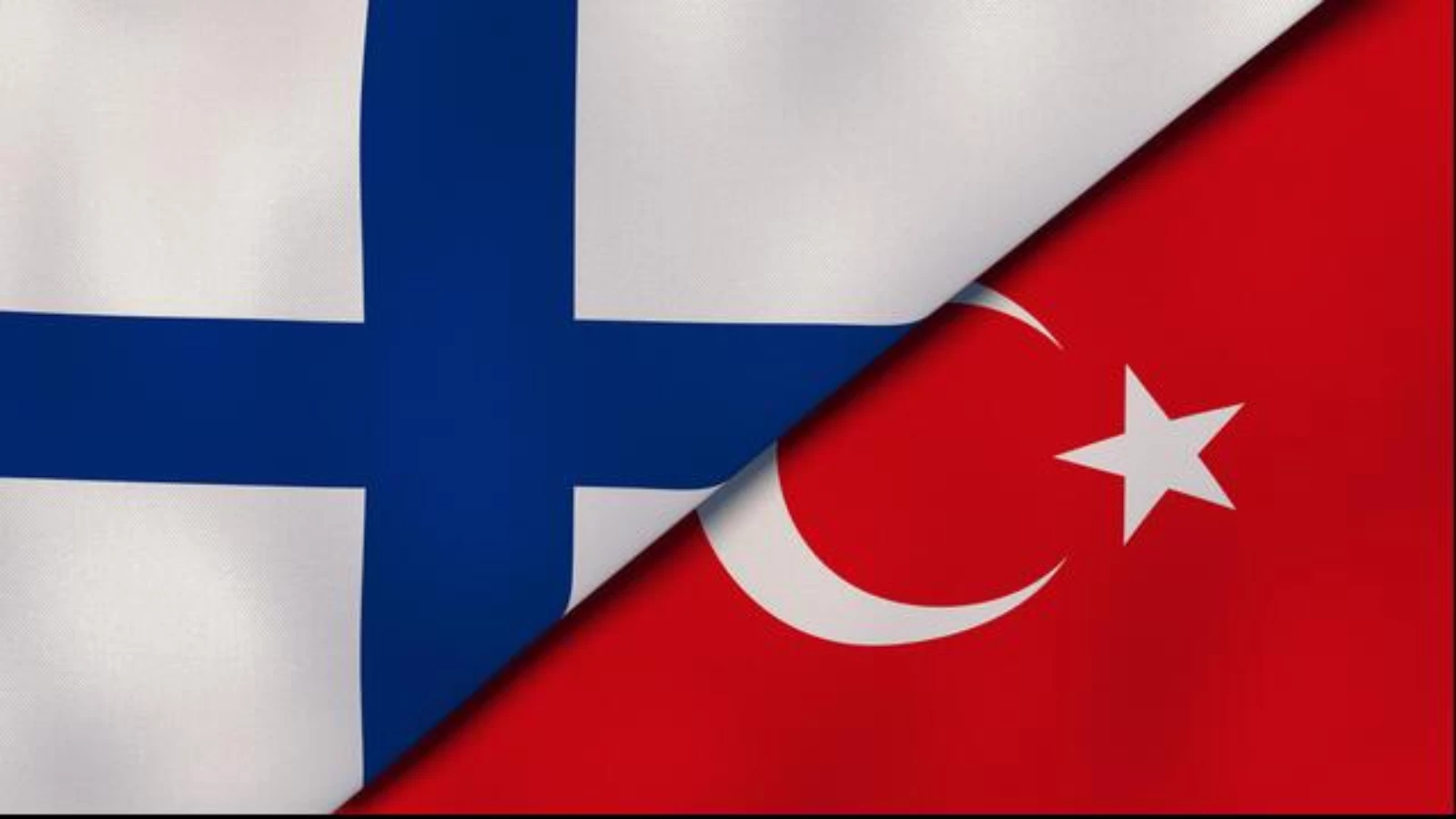 Finlandiya ve Türkiye'den Fikir Birliği