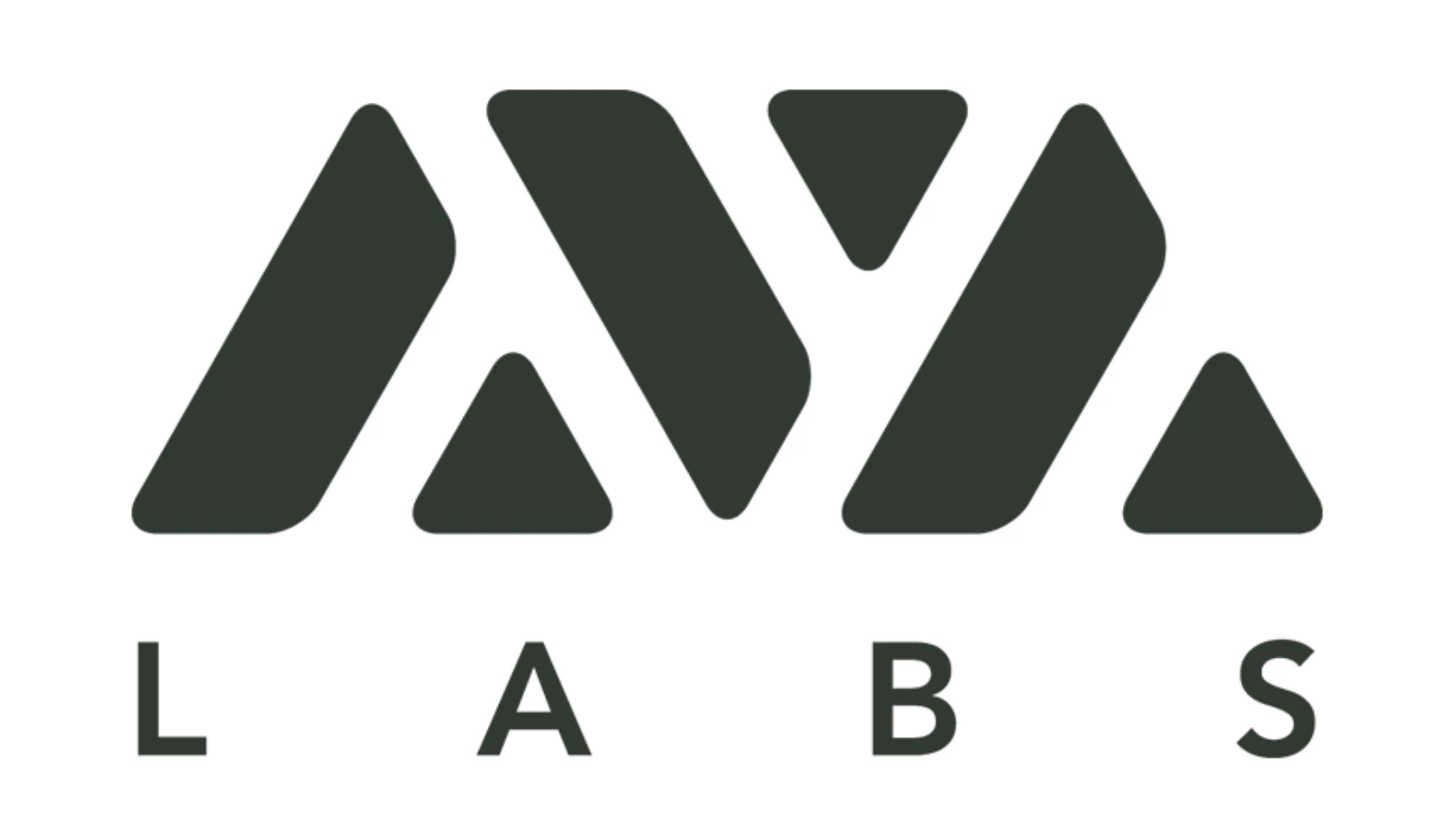 Ava Labs CEO'su İddiaları Yalanladı