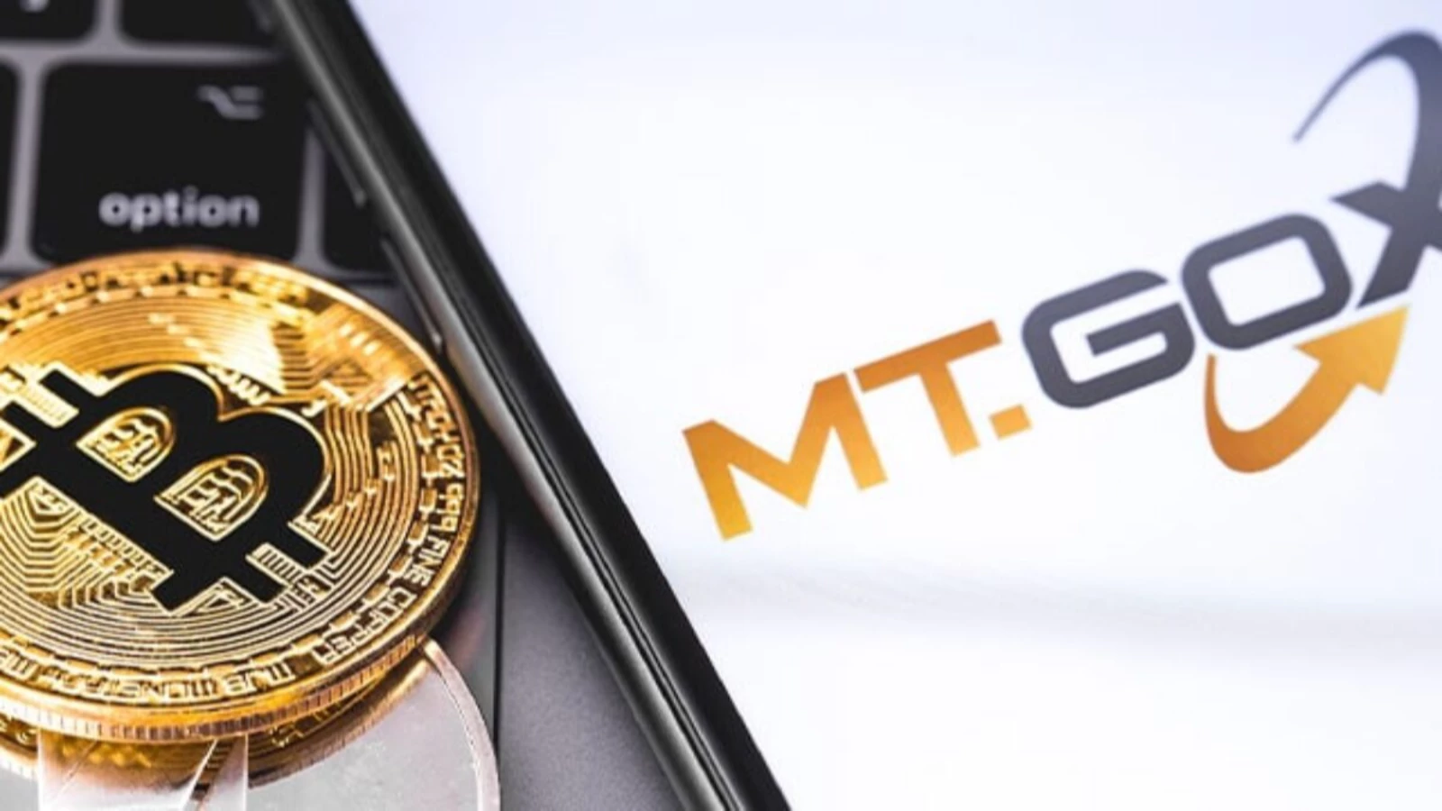 Mt. Gox, Bitcoin Yalanlaması Yaptı!