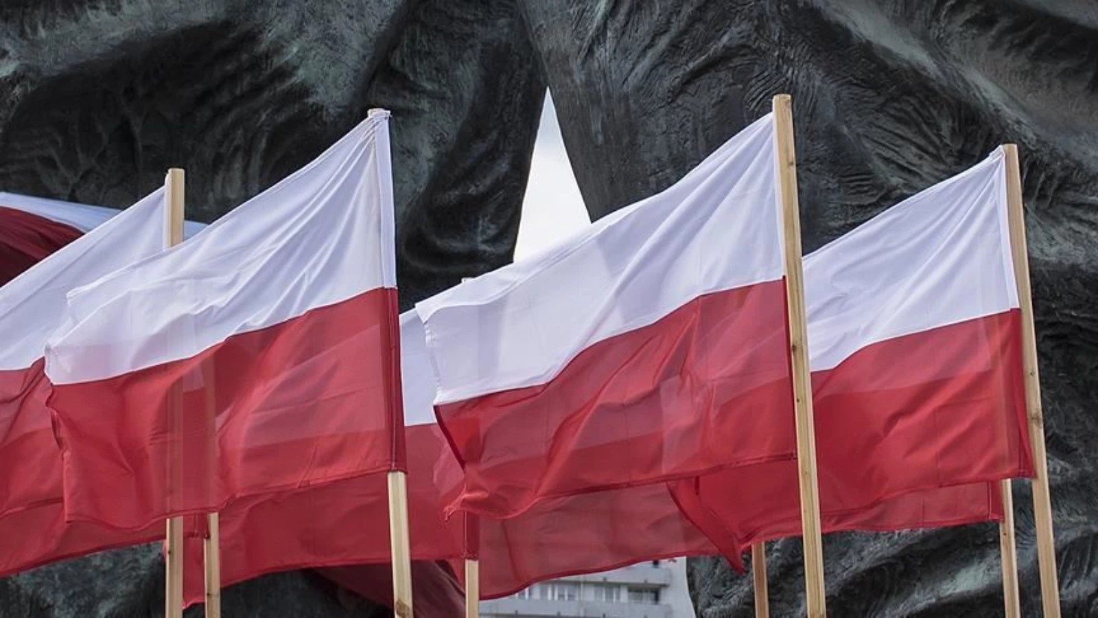 AB'nin Elektrik Kesintisi Önerisine Polonya'dan Ret