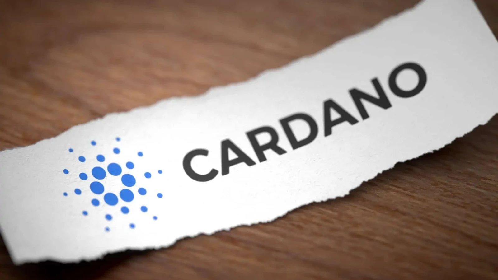 Cardano'dan Kullanıcılara 25 Bin Dolarlık Ödül!