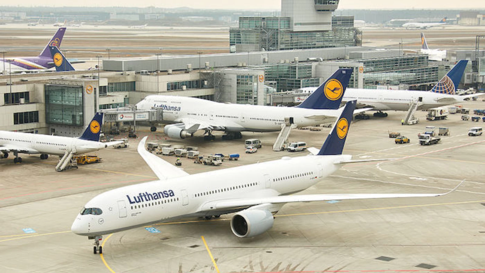 Almanya, Lufthansa Paylarının Hepsini Elden Çıkardı