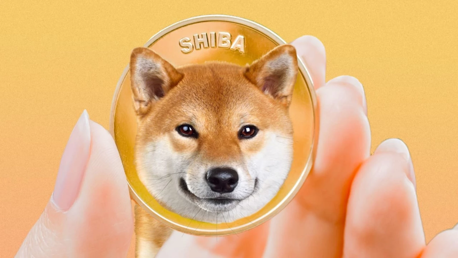 Shib Yaratıcısı Shiba Inu Hakkında Konuştu