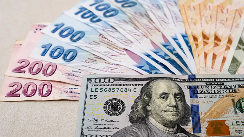 Dolar/TL Ne Kadar Oldu? 19 Kasım Döviz Fiyatları