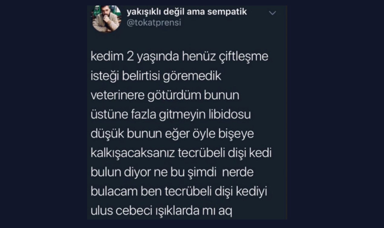 Ne Yapıyorsanız Bırakıp Bakmanız Gereken Efsane Tweetler