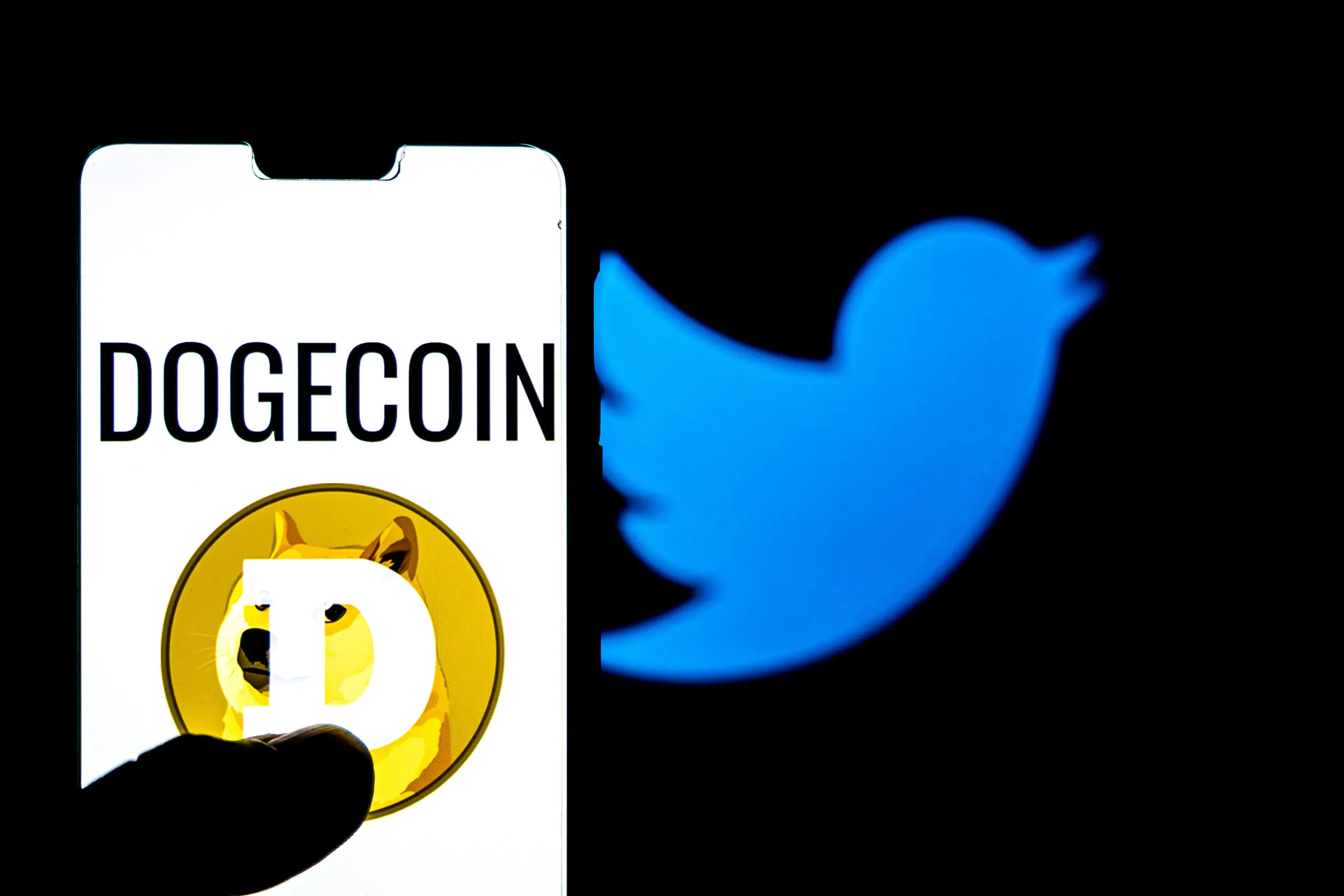 Twitter'ın Mavi Tik Ücretleri DOGE Fiyatını Nasıl Etkiler?