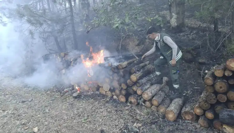 Bursa'da Yangın Korkutan Gelişmeler ve Alınan Önlemler